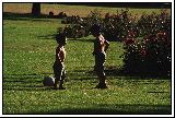 cliquez ici pour voir l'image (Enfant2.jpg)