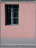 cliquez ici pour voir l'image (Rose.jpg)